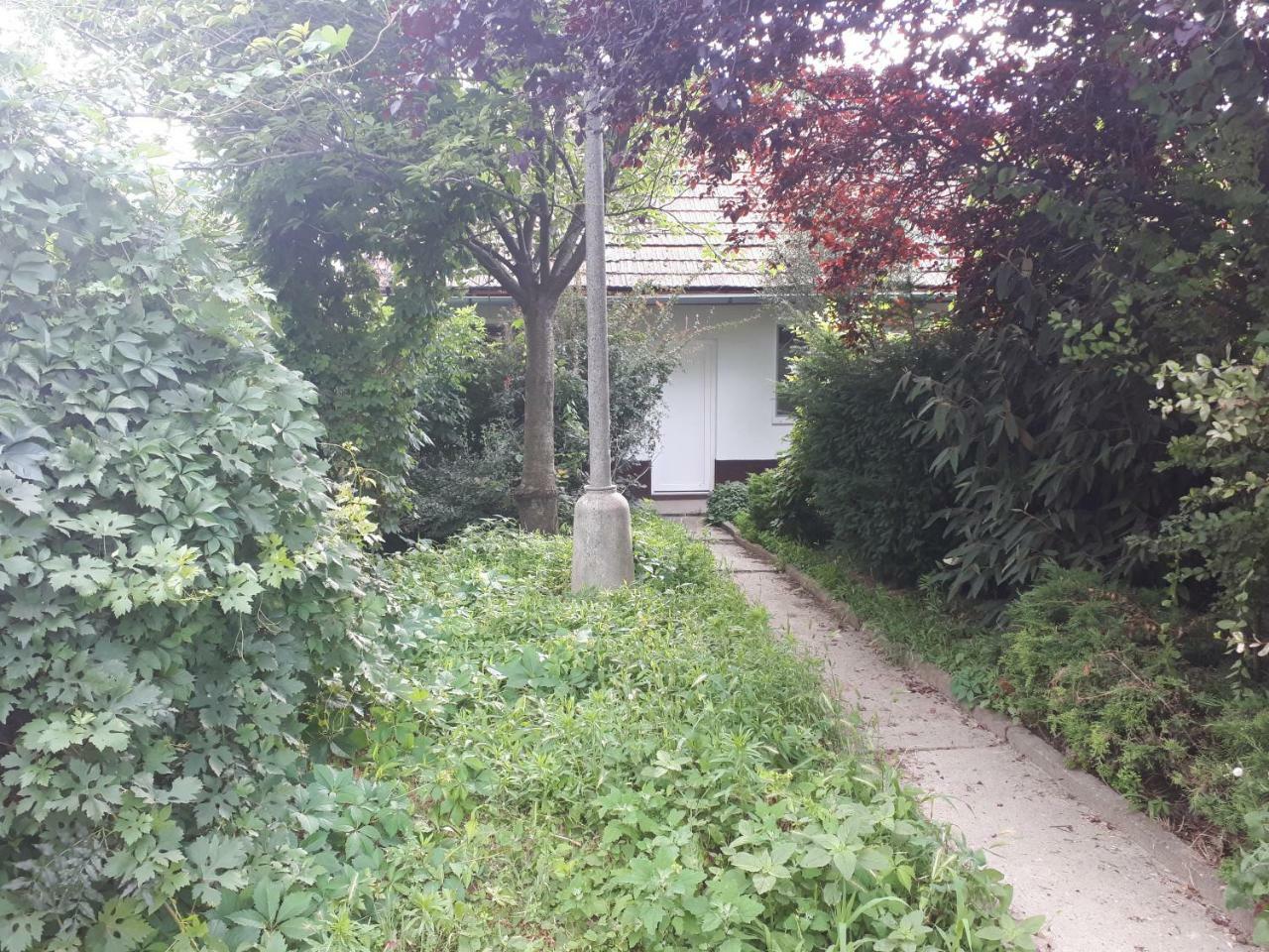 Apartmán - súkromie v meste  Bratislava Esterno foto